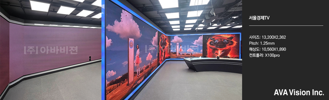 Seoul Economic Network TV